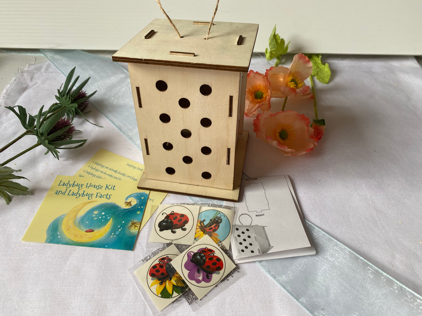 Ladybug House Kit